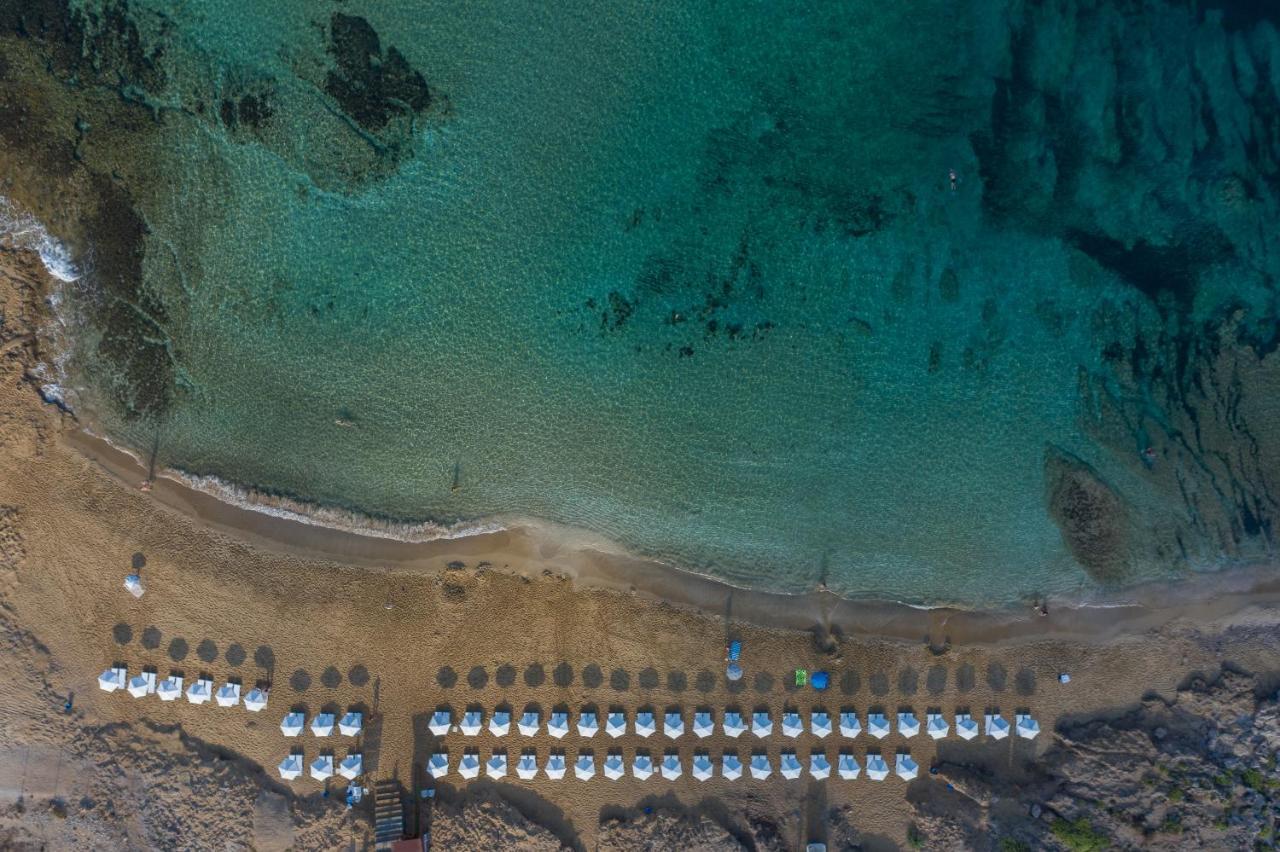 Ifestos Kings * Paphos